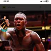 ufcfights28