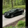 milo37681