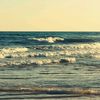 salma.mansour64