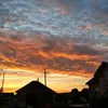 zverachy_