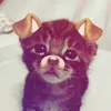 emlahellukittyy