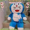 anhy3658