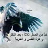 husseinal060