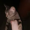 trnhhiu69