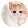 sadiya.islam5148