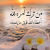user7456122055821