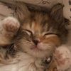 maryam_trab