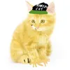 samuellllxd