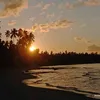 manjmsl91