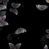 shafira_579