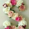 user5300847335457