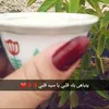 user7250696793740