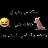 qshinwari