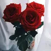 ihf89_