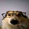 minark_1239