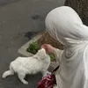 hamwia44