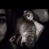 kako_comando