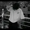 vansjecb