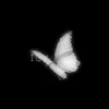 aaarm05
