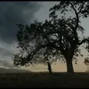 aj_rn7
