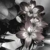 forever_in_luv3