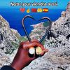 madiou.barry775