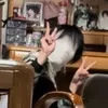 yuyu13542