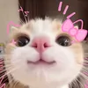 jengkook86