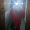 carol.rivera91
