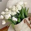 kyawt.shin.naing5
