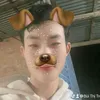 trng.v1131