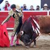 gustavo.cortez963