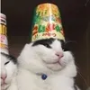 perdodonidido