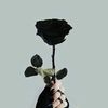 user9790520025779