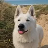lemonde_demilo