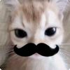 hello_kitty098877