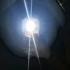_eisha23