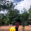 sok.ly09