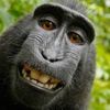 lil_monkey93