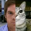 catwatcher76