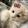 teddymyloved0933