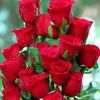 user748085160620