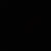 coco_nascdx