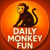 Daily Monkey Fun