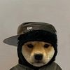 no.bags