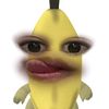 _pippp1