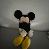 diemickymouseshow1