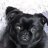fnffach.oma