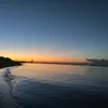 coocy.kleo1