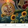 user3238415513355